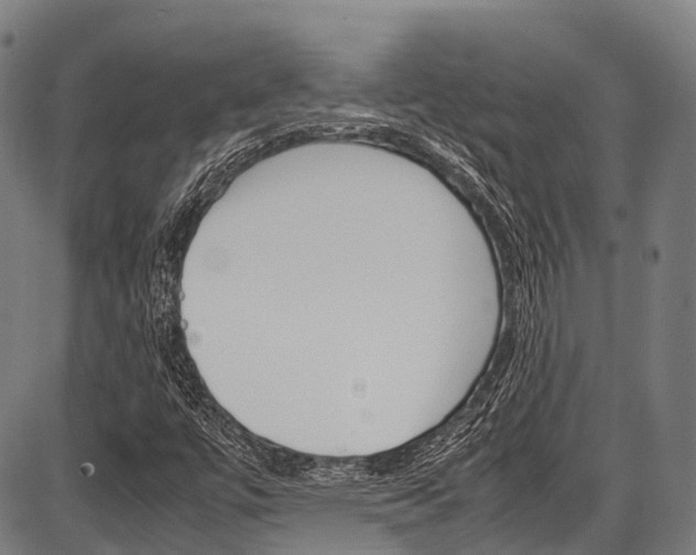 X0000087621447200704271125