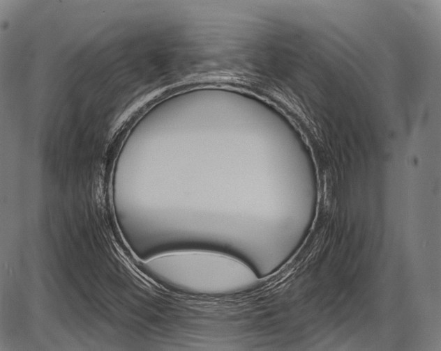 X0000087621452200704271125