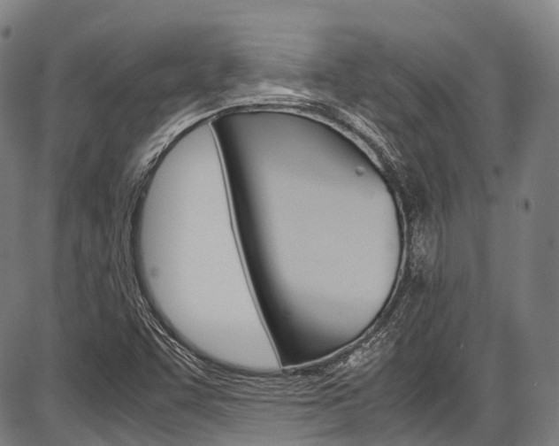X0000087621455200704271125