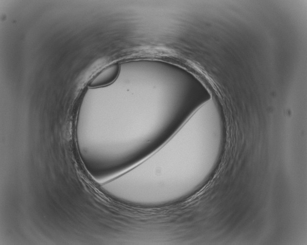 X0000087621459200704271125