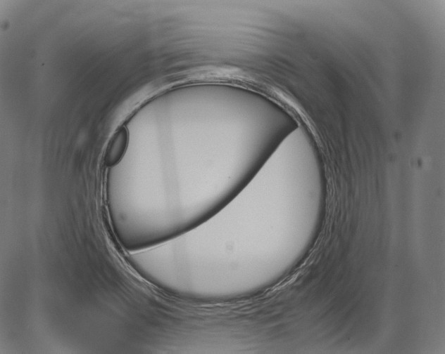 X0000087621467200704271125