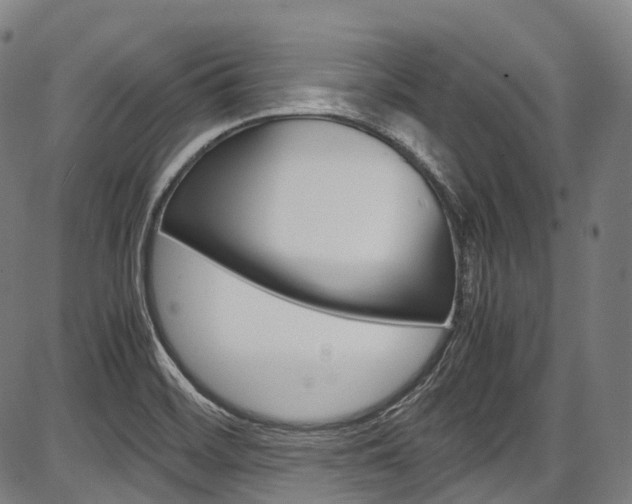 X0000087621468200704271125