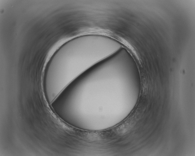 X0000087621472200704271125
