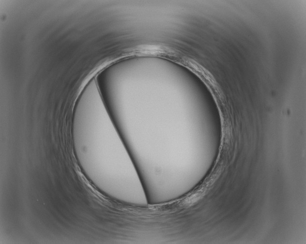 X0000087621473200704271125