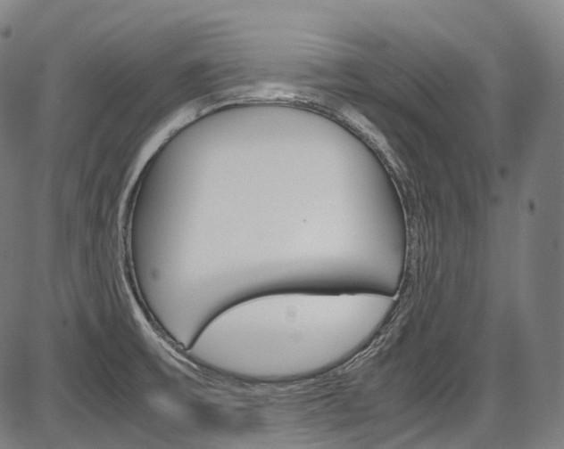 X0000087621475200704271125