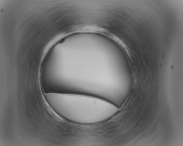 X0000087621480200704271124