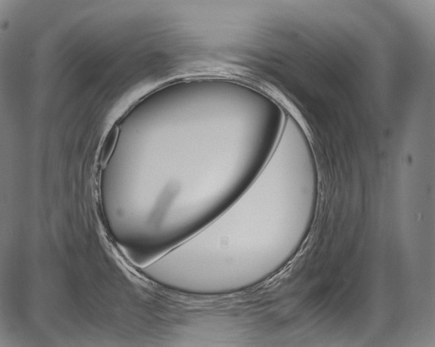 X0000087621485200704271124