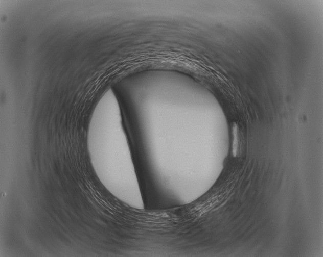 X0000087621491200704271124