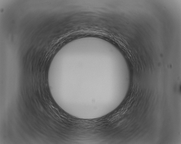 X0000087621492200704271124