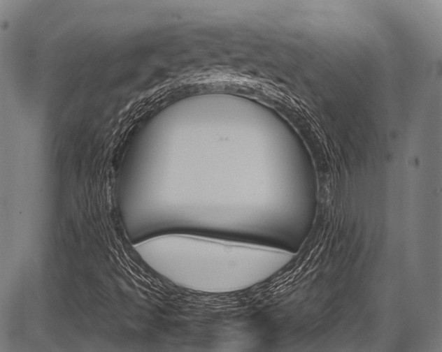 X0000087621493200704271124