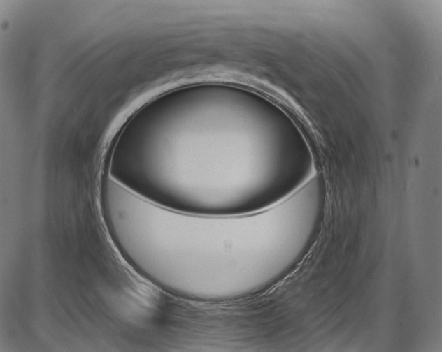 X0000087621512200704271124