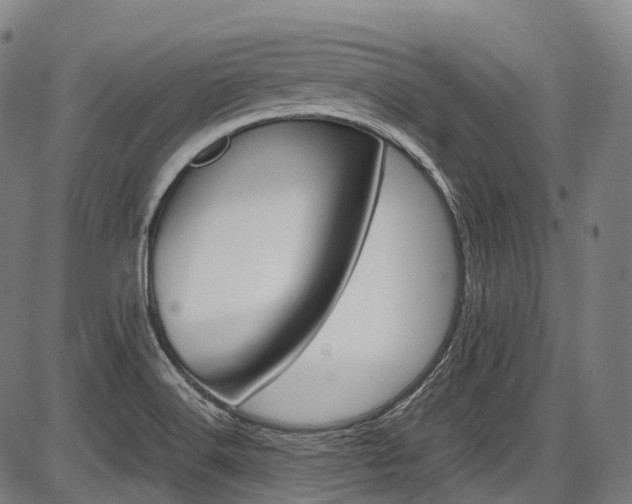 X0000087621516200704271124