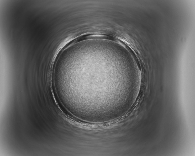 X0000087620003200704271407