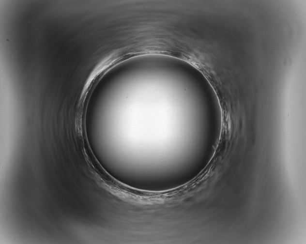 X0000087620004200704271407