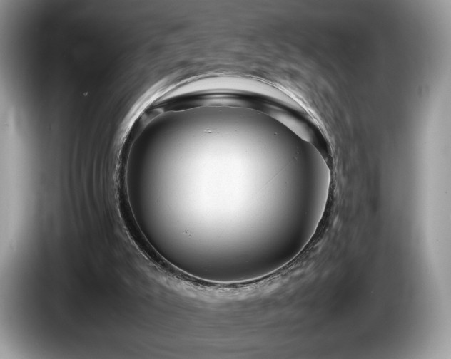 X0000087620007200704271407