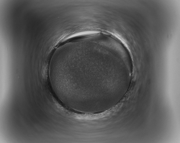 X0000087620009200704271407