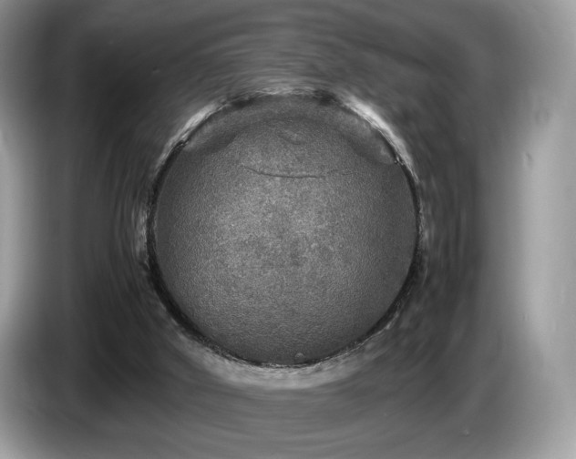 X0000087620010200704271407