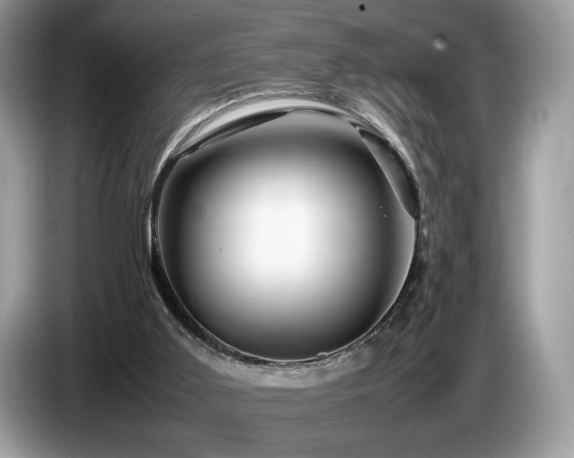 X0000087620011200704271407