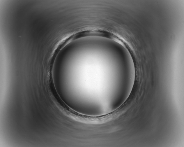 X0000087620015200704271407