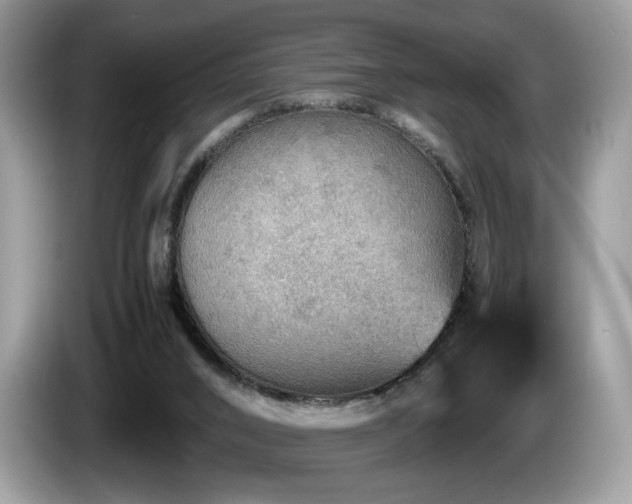 X0000087620016200704271407