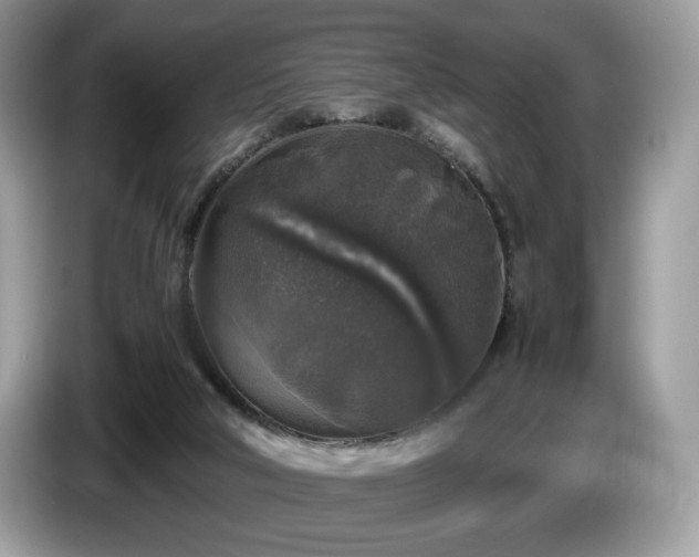 X0000087620018200704271407