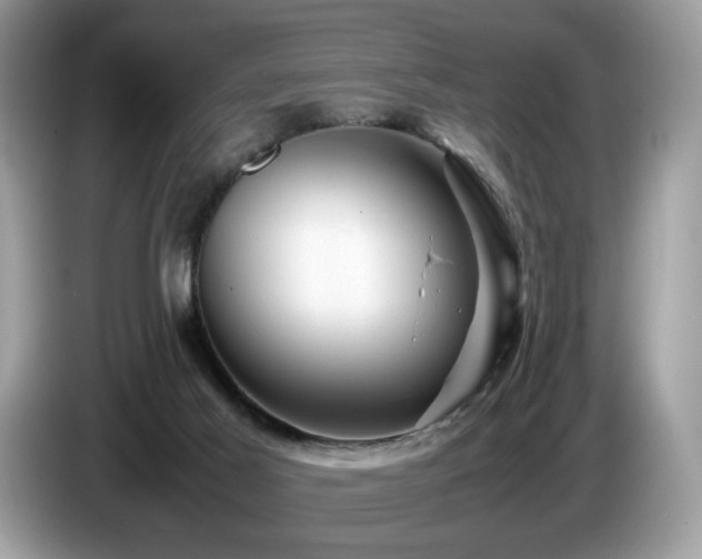 X0000087620021200704271406