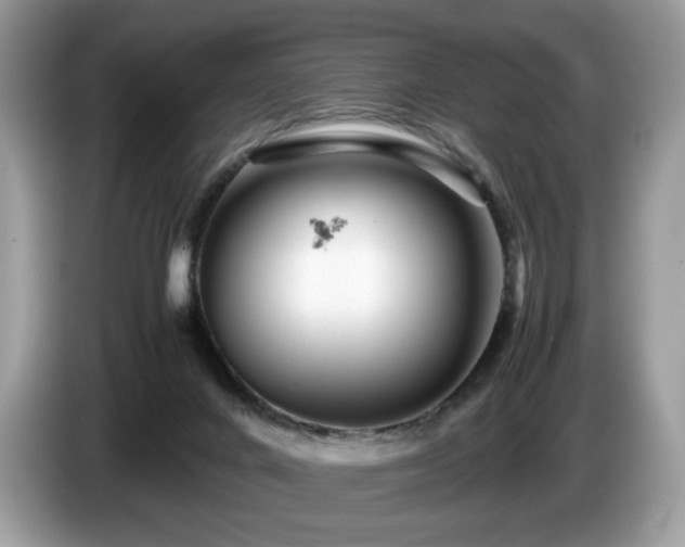 X0000087620024200704271406