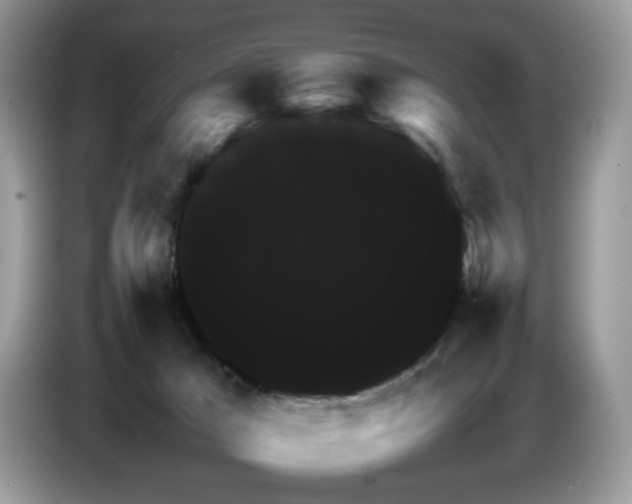X0000087620029200704271406