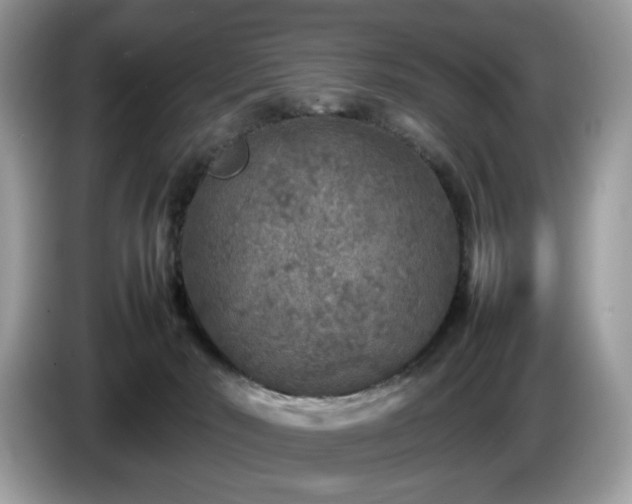 X0000087620030200704271406