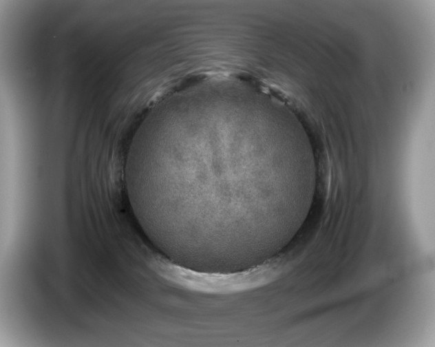 X0000087620034200704271406