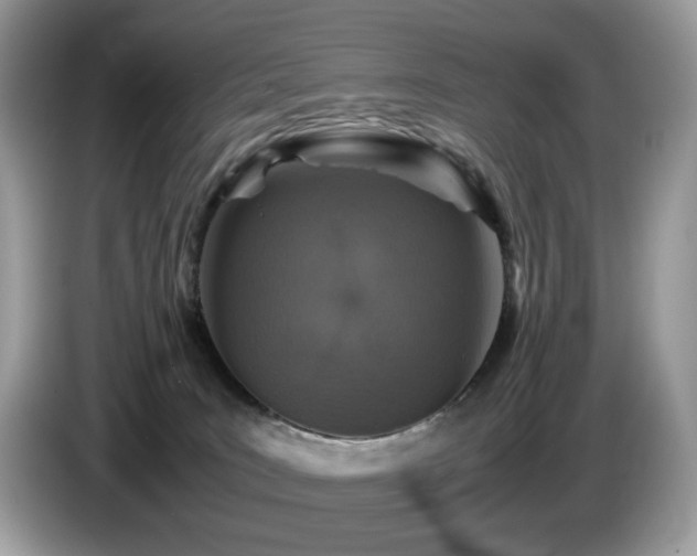 X0000087620035200704271406