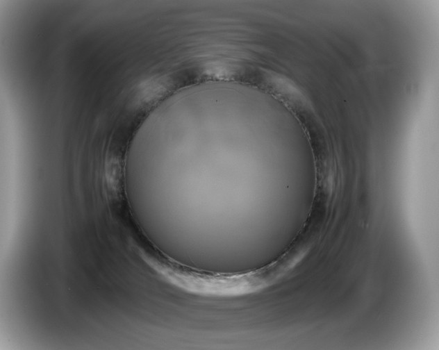 X0000087620036200704271406