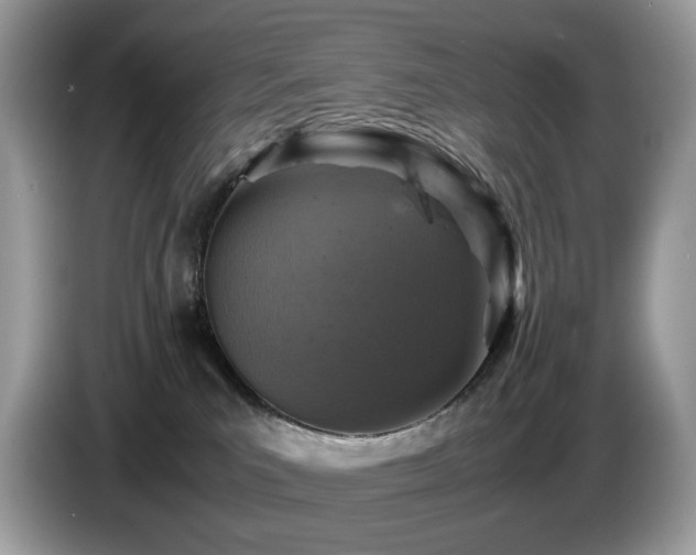 X0000087620039200704271406