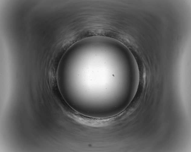 X0000087620040200704271406