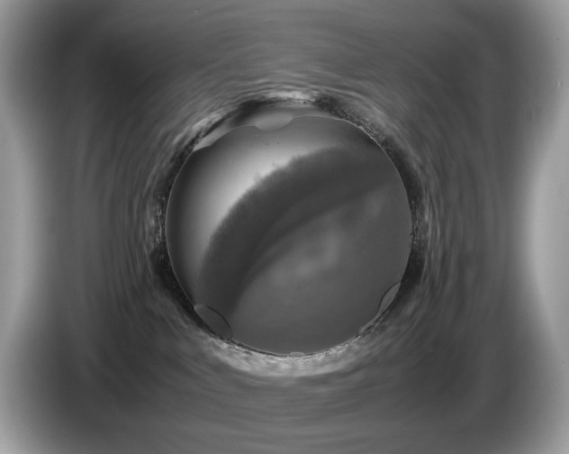 X0000087620043200704271406