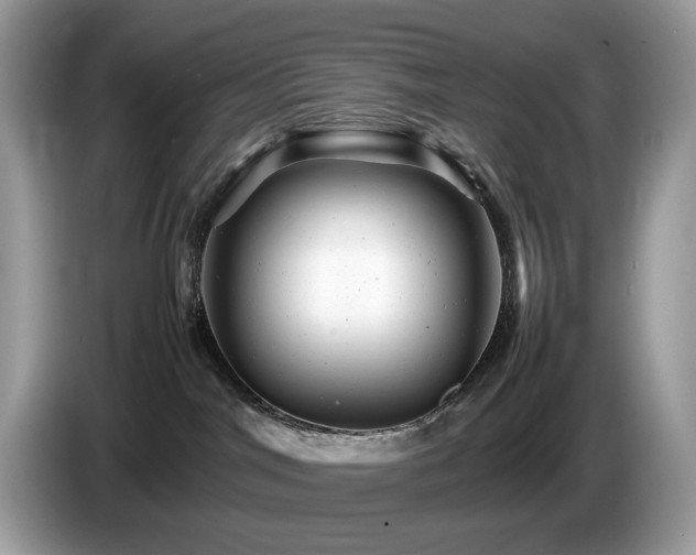 X0000087620044200704271406