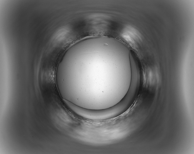 X0000087620045200704271406