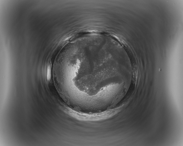 X0000087620046200704271406