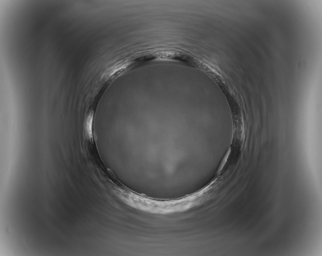 X0000087620047200704271406