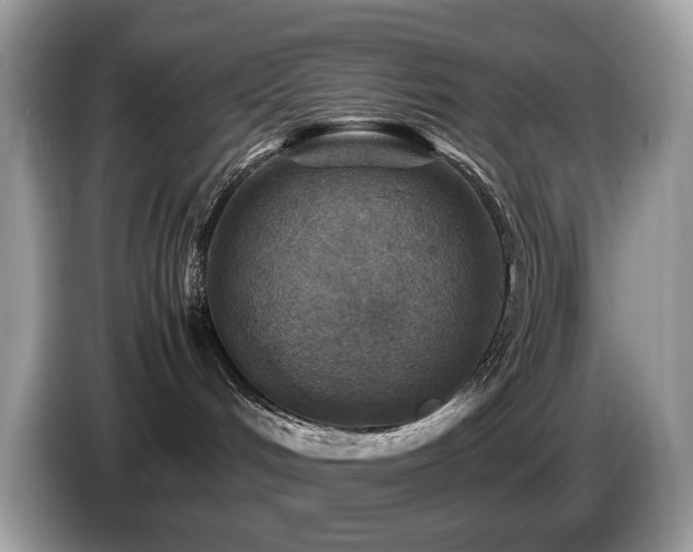X0000087620048200704271406
