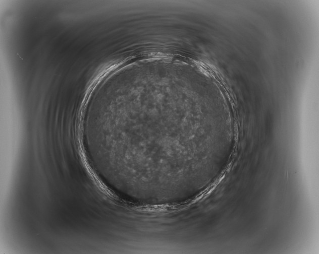 X0000087620049200704271406