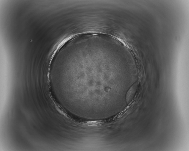 X0000087620050200704271406