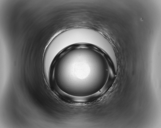 X0000087620052200704271406