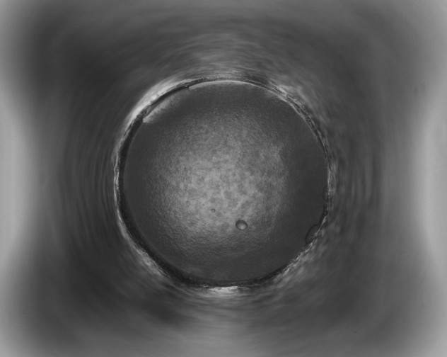 X0000087620054200704271406