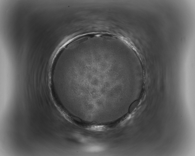 X0000087620055200704271406