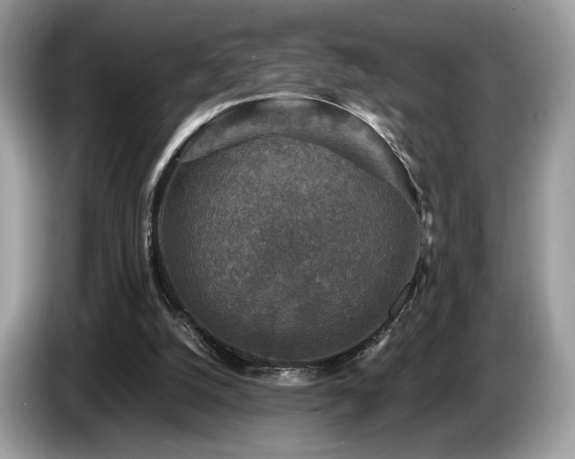 X0000087620056200704271406