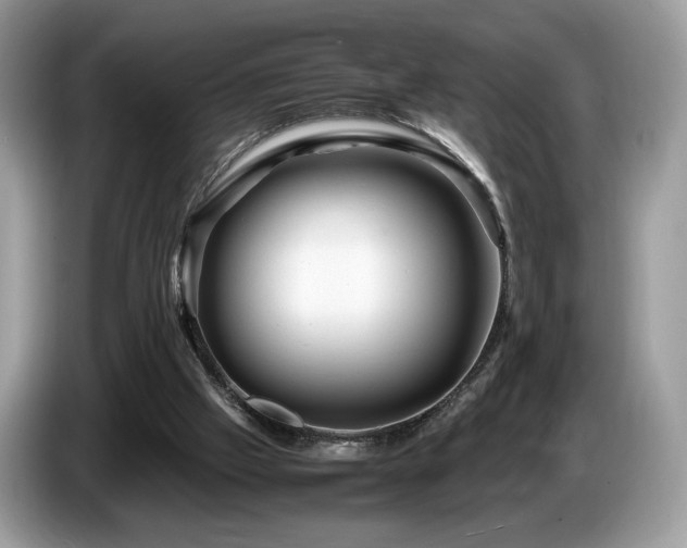 X0000087620057200704271406
