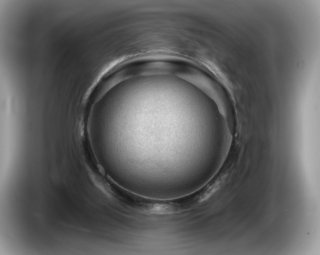 X0000087620060200704271406