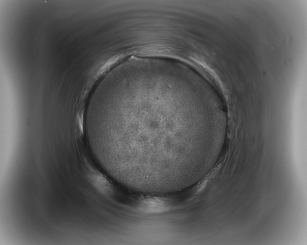 X0000087620062200704271406