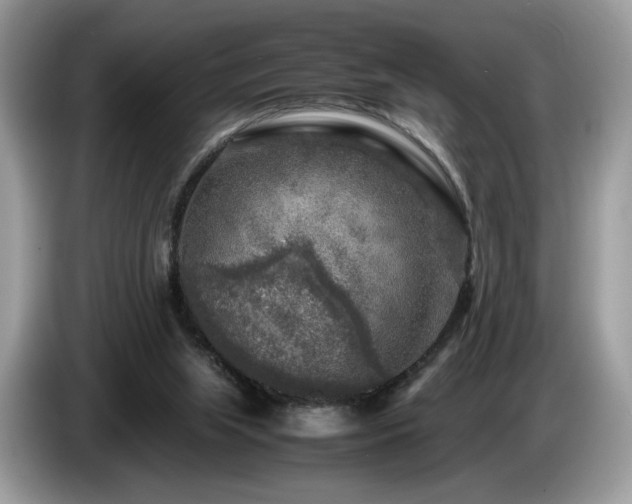 X0000087620063200704271406